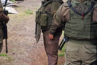 Atentado incendiario en La Araucanía: cuatro camiones quemados en Los Sauces