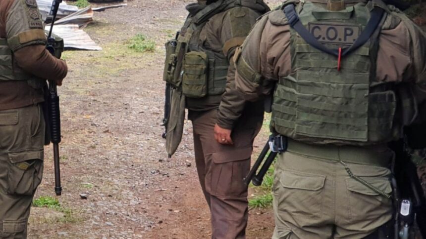 Atentado incendiario en La Araucanía: cuatro camiones quemados en Los Sauces