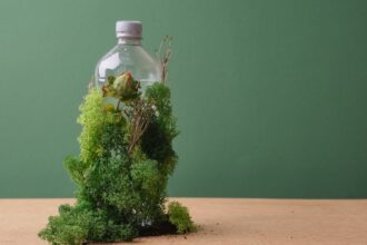 El reto de la sustentabilidad empresarial: eficiencia y costos reducidos