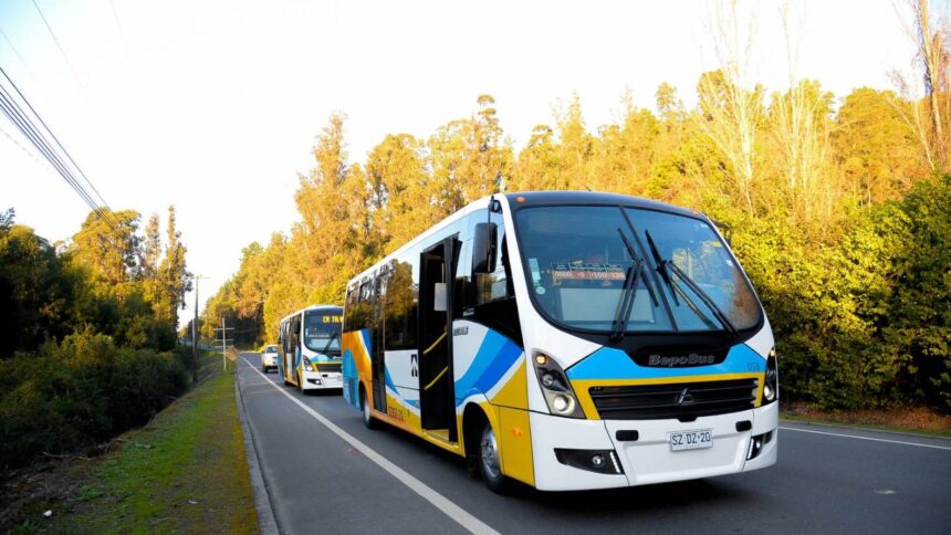 Baja en frecuencias de taxibuses entre Concepción y Santa Juana