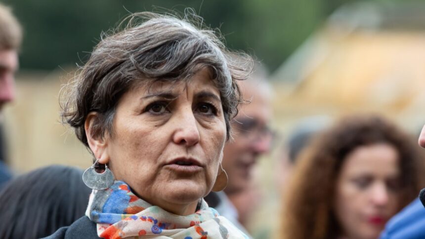 Ministra de Salud asegura que recorte no afectará atención de pacientes