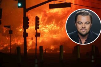 Leonardo DiCaprio dona un millón de dólares a incendios en Los Ángeles