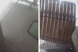 Accidente en Lo Prado: Camioneta evadió control y chocó contra casa