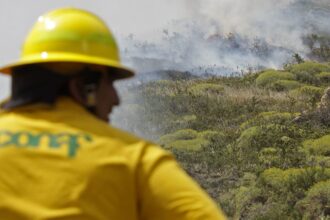 Fallas en comunicación de Conaf durante megaincendio de Valparaíso: informe Contraloría