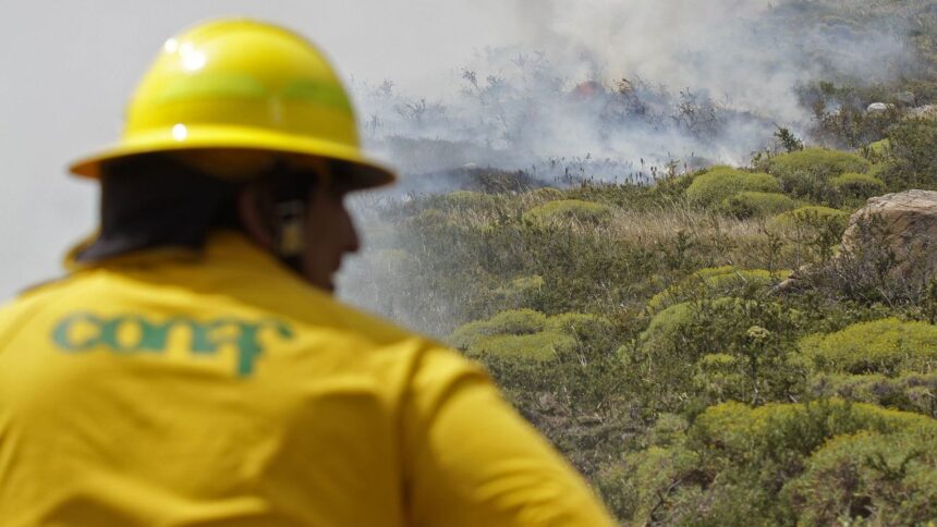 Fallas en comunicación de Conaf durante megaincendio de Valparaíso: informe Contraloría