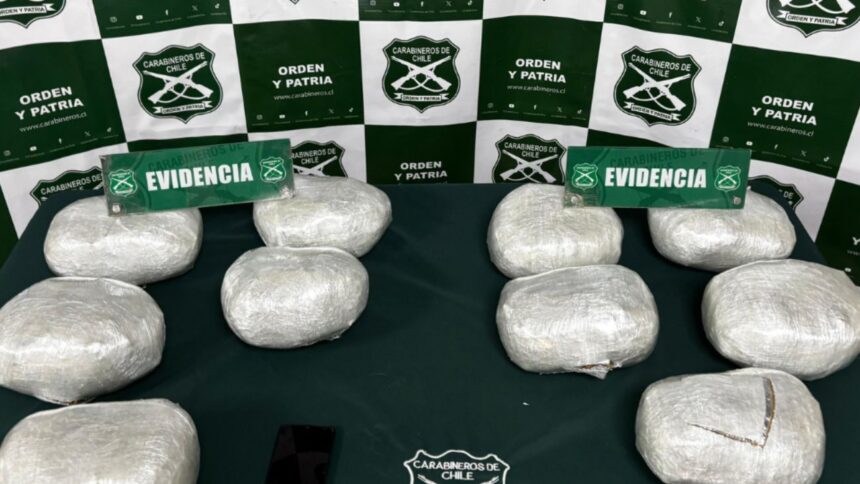 Incautados 11 kilos de marihuana y detienen a traficante en Valparaíso