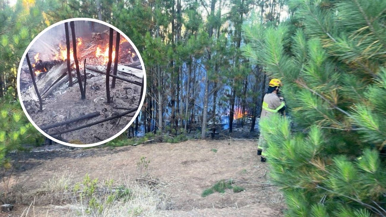 Helicóptero capota en Paredones, O'Higgins: investigan causas tras accidente forestal Helicóptero capota en Paredones, O'Higgins: investigan causas tras accidente forestal