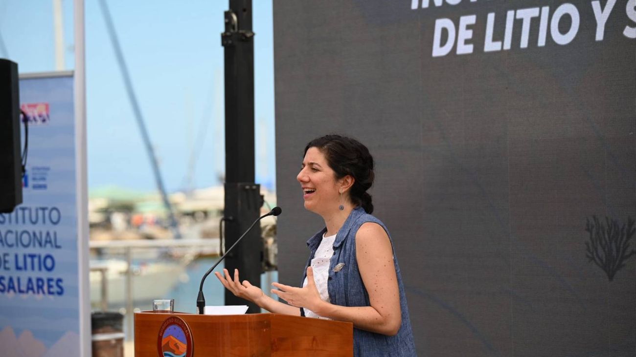 Chile establece el primer Instituto Nacional de Litio y Salares para el desarrollo sostenible Chile establece el primer Instituto Nacional de Litio y Salares para el desarrollo sostenible