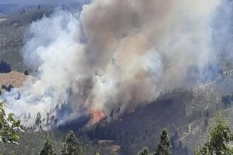 Trágico hallazgo en Los Sauces: encuentran cuarto cadáver vinculado a incendio