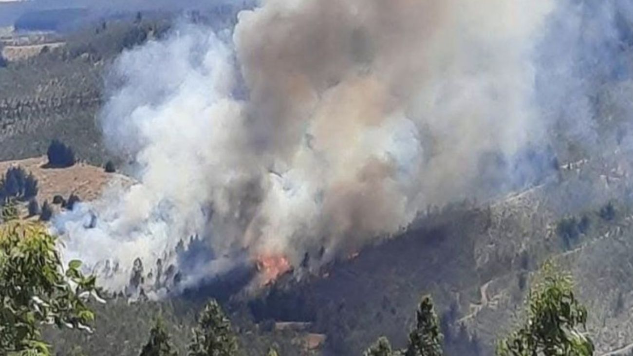 Trágico hallazgo en Los Sauces: encuentran cuarto cadáver vinculado a incendio