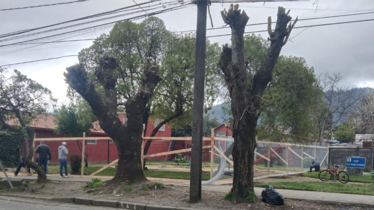 Disputa legal en Chiguayante por terreno junto a Plaza José Palma Disputa legal en Chiguayante por terreno junto a Plaza José Palma