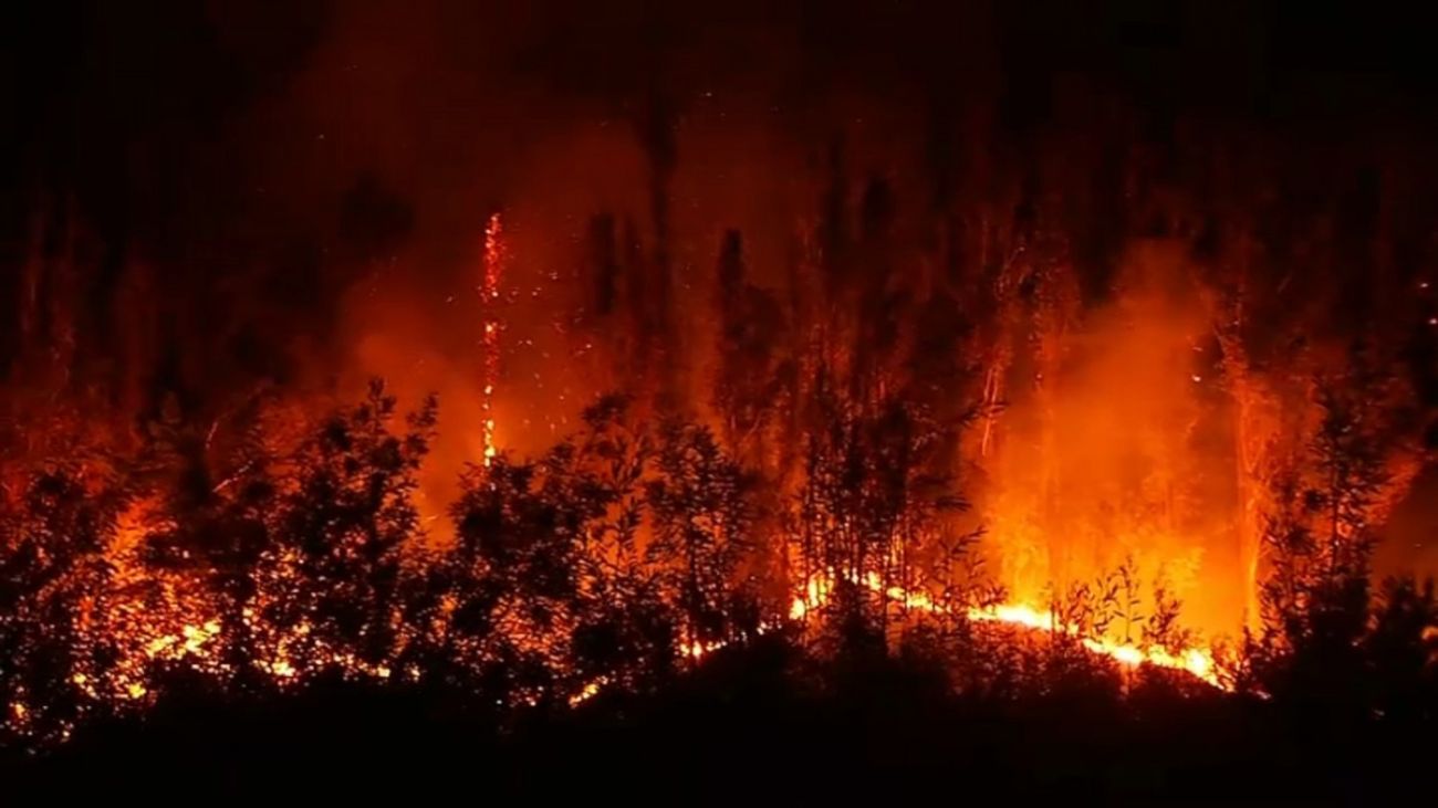 Internación provisoria por incendio en La Araucanía: la acusada enajenada Internación provisoria por incendio en La Araucanía: la acusada enajenada
