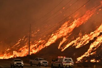 Incendio forestal en Los Ángeles: evacuaciones masivas y alerta en marcha