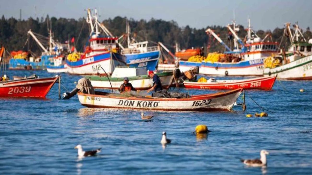 Aprobada Ley de Fraccionamiento de recursos del mar con opiniones divididas Aprobada Ley de Fraccionamiento de recursos del mar con opiniones divididas