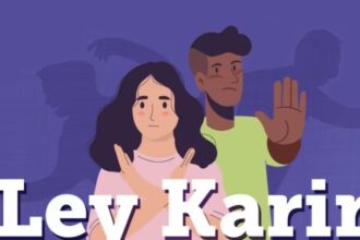 Alta cantidad de denuncias en Salud y Educación desde Ley Karin