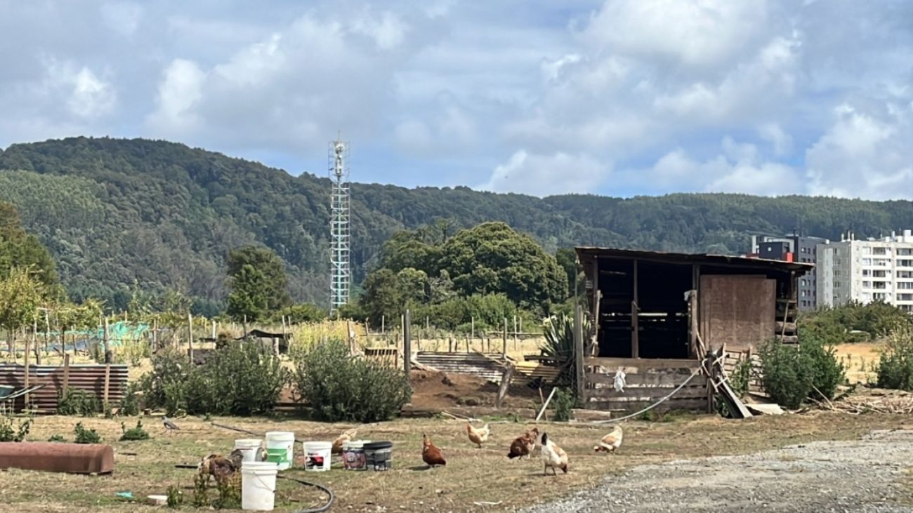 Comunidad mapuche de Coliñir exige validación de informe Conadi sobre tierra indígena Comunidad mapuche de Coliñir exige validación de informe Conadi sobre tierra indígena
