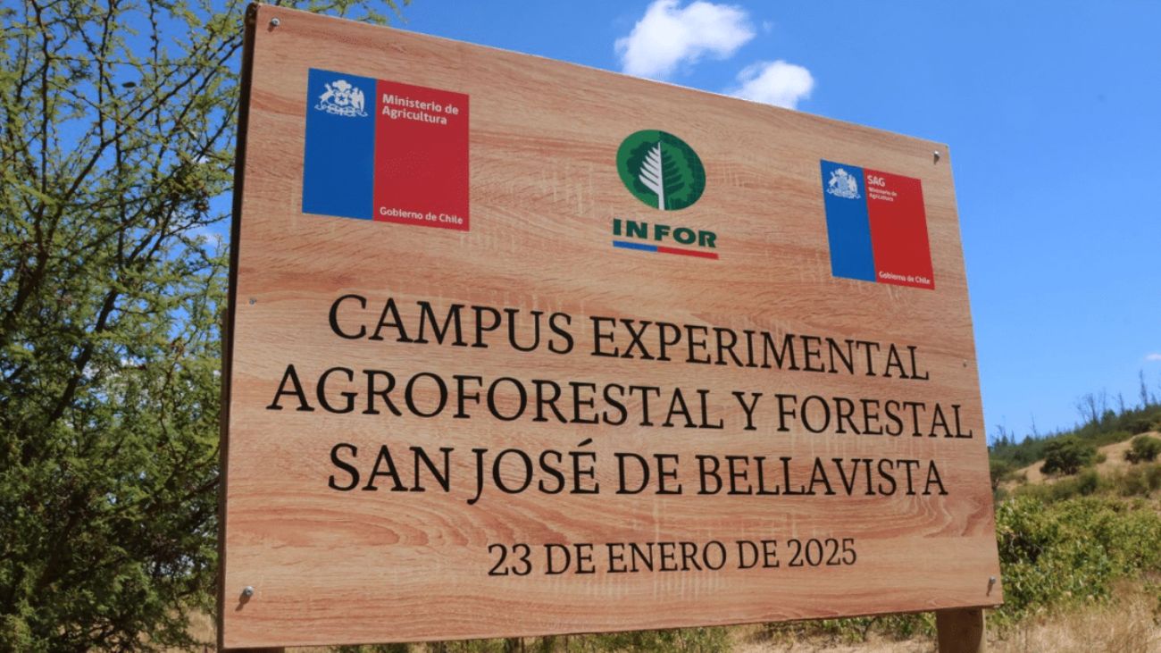 Centro Experimental de Agroforestería y Diversificación forestal en Ñuble: Importancia regional Centro Experimental de Agroforestería y Diversificación forestal en Ñuble: Importancia regional