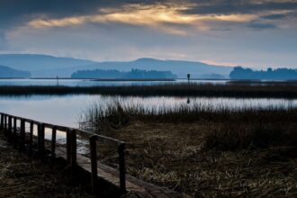 Valdivia se convierte en Ciudad Humedal de América Latina por Ramsar