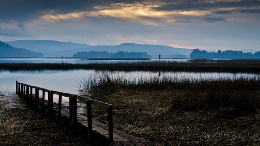 Valdivia se convierte en Ciudad Humedal de América Latina por Ramsar