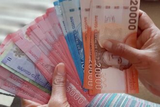 Renovación del Bono por Hijo 2025: Regulaciones y Beneficiarias Claras