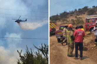 Incendio forestal en Lonquén: controlan avance en sectores cercanos