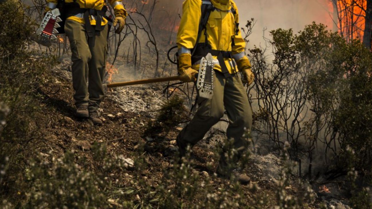 Entregan cuerpos de brigadistas fallecidos en incendio de Los Sauces Entregan cuerpos de brigadistas fallecidos en incendio de Los Sauces
