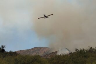 Detenido trabajador por incendio forestal en Talagante: Impacto e investigaciones