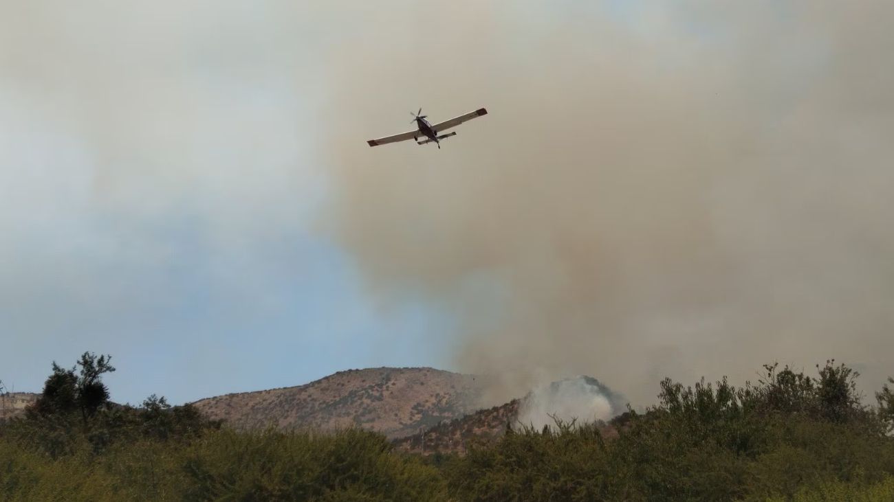 Detenido trabajador por incendio forestal en Talagante: Impacto e investigaciones Detenido trabajador por incendio forestal en Talagante: Impacto e investigaciones