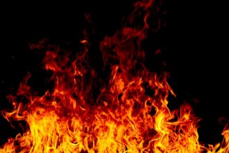 Persisten incendios forestales en Chile: más de 80 registrados en 24 horas