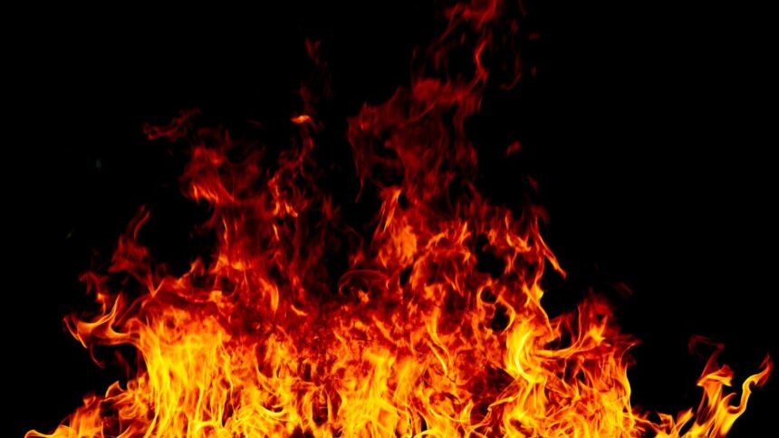 Persisten incendios forestales en Chile: más de 80 registrados en 24 horas