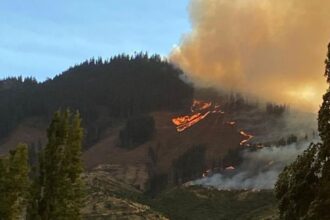 Incendio descontrolado arrasa en San Javier, Región del Maule
