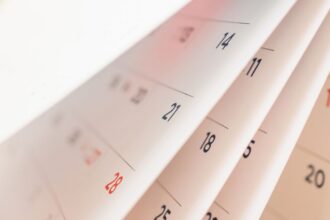 Calendario de Feriados 2025 en Chile: Aprovecha Más Días de Descanso