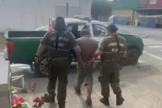 Detenido en Carahue por iniciar incendio forestal: impacto ambiental y medidas judicial