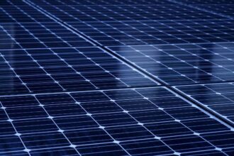 Champiñones Abrantes inaugura parque solar de 1,15 MWp en Paine, Chile