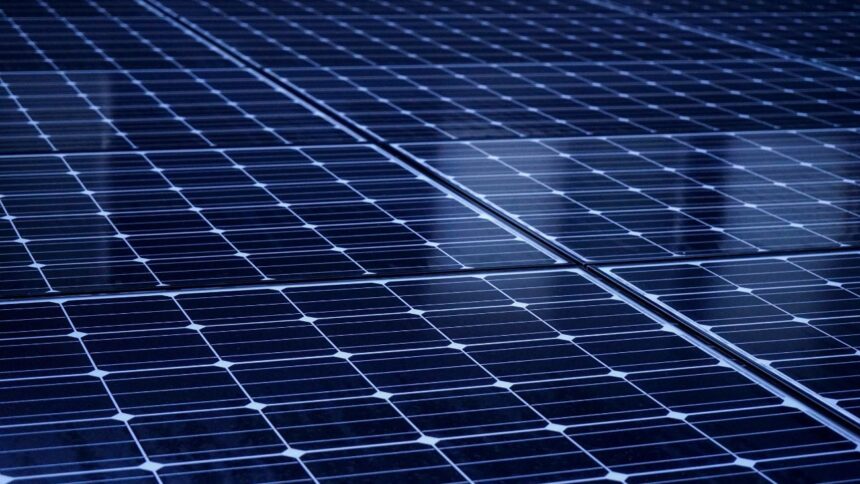 Champiñones Abrantes inaugura parque solar de 1,15 MWp en Paine, Chile