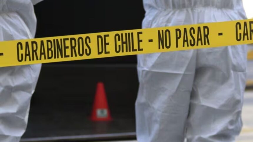 Trágico asesinato de adulto mayor alimentando perros en Viña del Mar