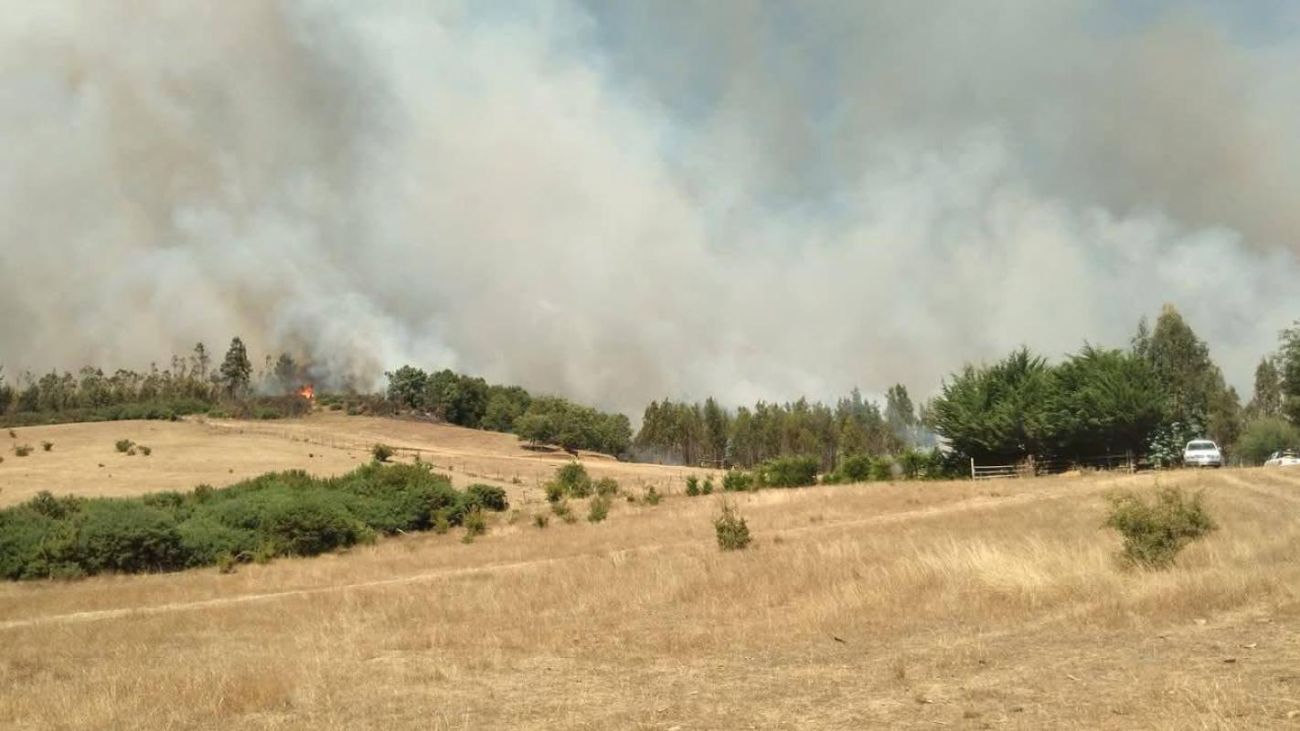 Activan evacuación por incendio forestal en Cholchol, La Araucanía Activan evacuación por incendio forestal en Cholchol, La Araucanía