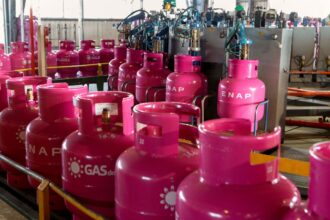 Gobierno ordena restituir más de $500 millones a Enap por plan fallido