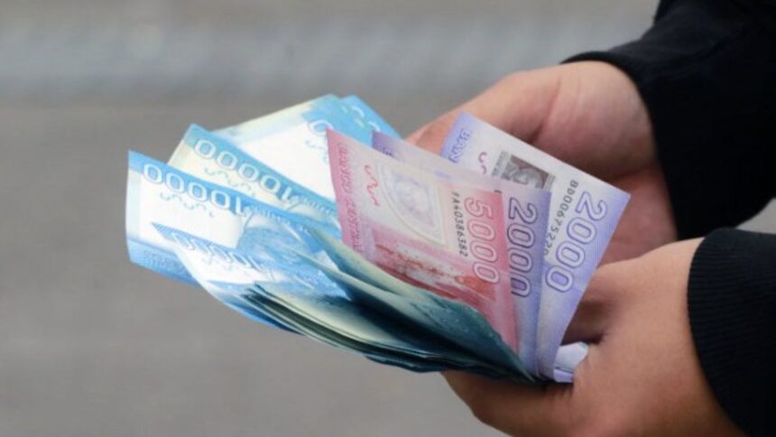 Bono de Protección: Asistencia económica para familias vulnerables durante dos años.