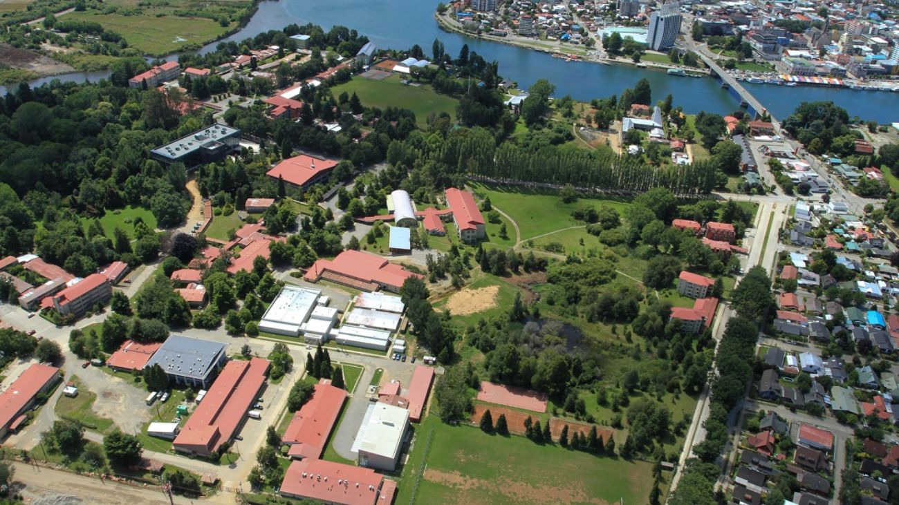 Avance exitoso en Plan de Recuperación de Universidad Austral de Chile Avance exitoso en Plan de Recuperación de Universidad Austral de Chile
