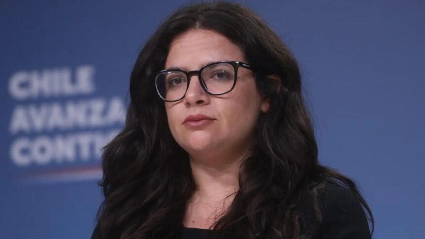 Ministra busca acuerdo para legalizar el aborto en Chile