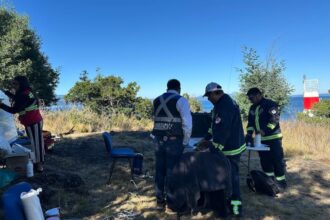 Joven de 23 años desaparecida en el Lago Villarrica: intensa búsqueda