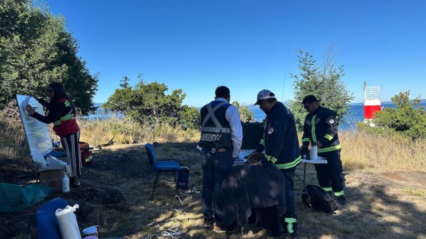 Joven de 23 años desaparecida en el Lago Villarrica: intensa búsqueda