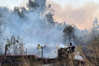Incendio forestal en Cholchol deja ocho casas destruidas
