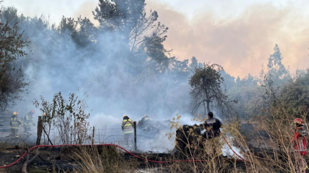 Incendio forestal en Cholchol deja ocho casas destruidas Incendio forestal en Cholchol deja ocho casas destruidas