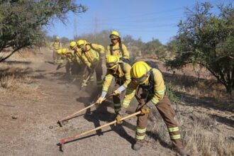 Creación de 11 mil kilómetros de cortafuegos para prevenir incendios forestales