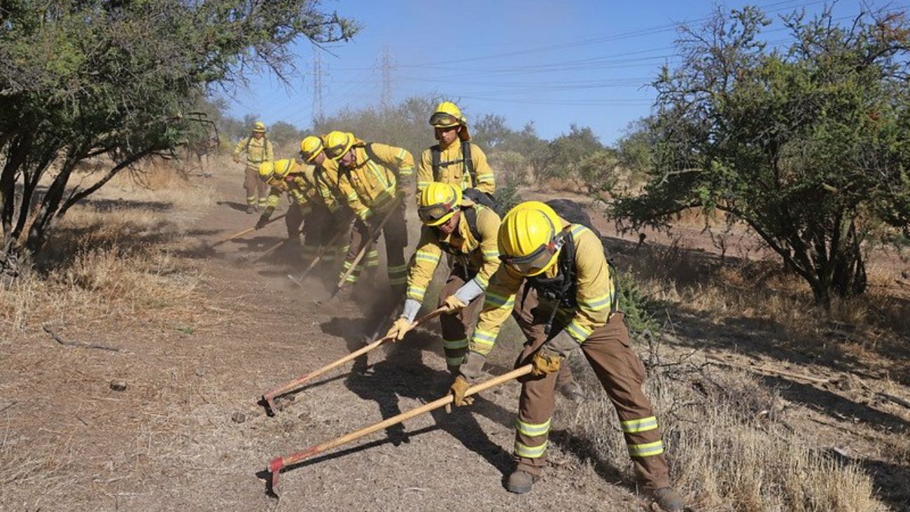 Creación de 11 mil kilómetros de cortafuegos para prevenir incendios forestales Creación de 11 mil kilómetros de cortafuegos para prevenir incendios forestales