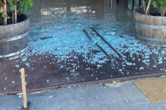 Vandalismo en Viña Santa Cruz: robos y daños en sus museos