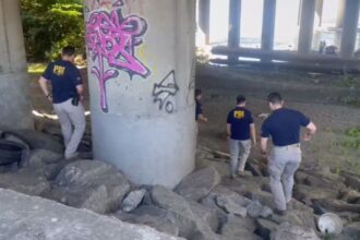 Hallan cadáver en el río Bío Bío que podría ser hombre desaparecido