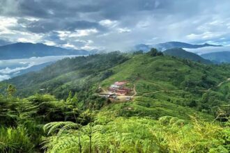 Aprobación de diseños para infraestructura eléctrica del proyecto Cangrejos de oro y cobre